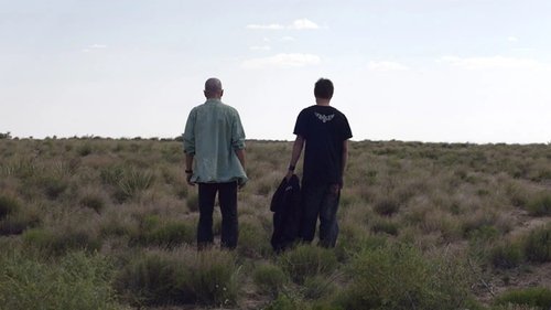 Breaking Bad 2. Sezon 3. Bölüm – Ölü Arının İğnesi