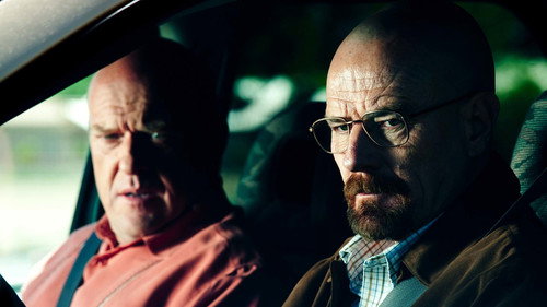 Breaking Bad 4. Sezon 9. Bölüm – Böcek