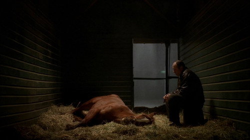 The Sopranos 4. Sezon 5. Bölüm – Yarış Atı, Pie-O-My