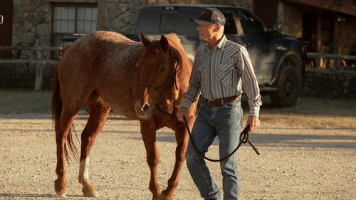 Dutton Ranch 1. Sezon 5. Bölüm – Huzur Bul