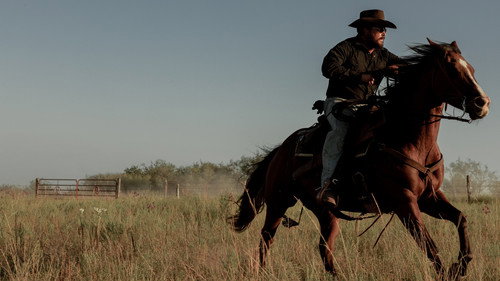 Dutton Ranch 1. Sezon 3. Bölüm – Tanrı’nın Mücbir Sebebi İşletmesi