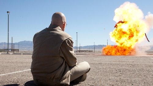 Breaking Bad 4. Sezon 7. Bölüm – Sorun Çıkaran Köpek