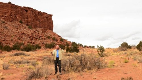 Breaking Bad 5. Sezon 13. Bölüm – Korkak