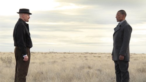 Breaking Bad 3. Sezon 13. Bölüm – Yeterli Önlem