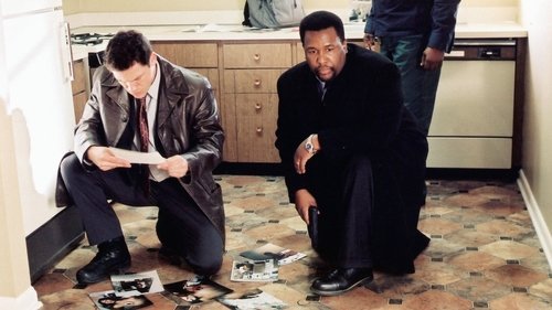 The Wire 1. Sezon 4. Bölüm – Old Cases