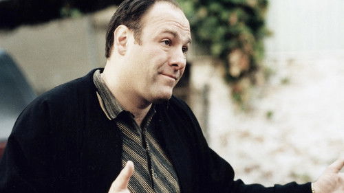 The Sopranos 1. Sezon 13. Bölüm – Hayalimdeki Jeannie Cusamano