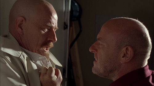 Breaking Bad 5. Sezon 9. Bölüm – Kanlı Para