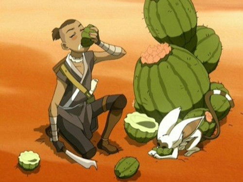 Avatar: Son Havabükücü 2. Sezon 11. Bölüm – Çöl